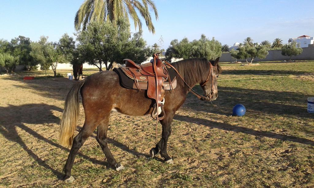 Menzel Churasco Djerba Aghīr Esterno foto
