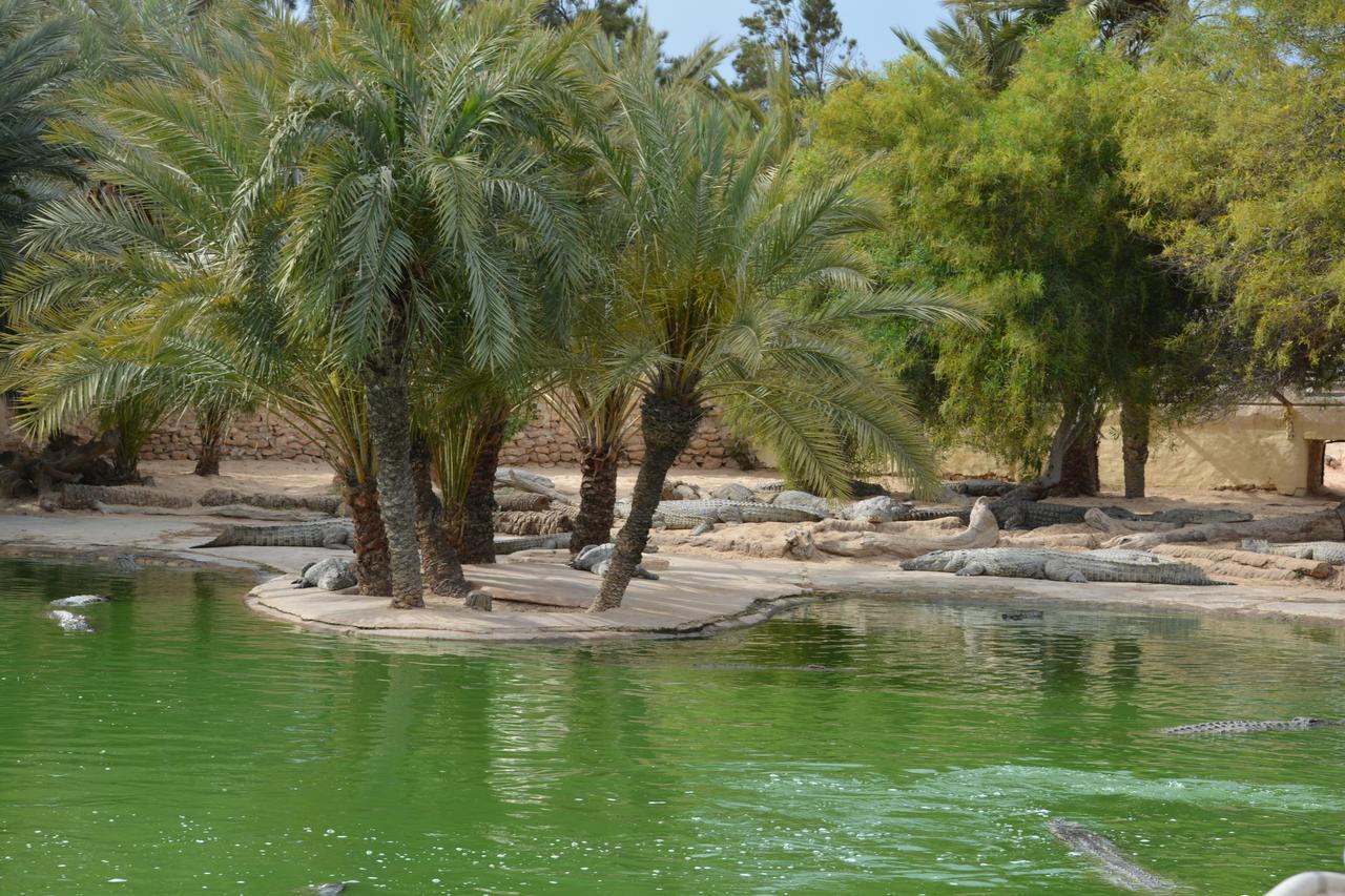 Menzel Churasco Djerba Aghīr Esterno foto